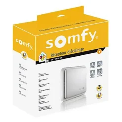 Somfy Accessoires De Motorisation-Récepteur radio 2400583 pour commande d'éclairage