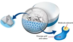 Rubson Absorbeur D'Humidité-5 recharges neutre pour absorbeur d'humidité Aéro 360° 20m² + 1 recharge lavande