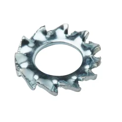 Diall Rondelle-Rondelles dentelée en acier au carbone ø 4mm - 10 pièces