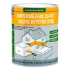 Procom Résine étanchéité, imperméabilisation mur intérieur durcisseur -2.5 litres-Incolore