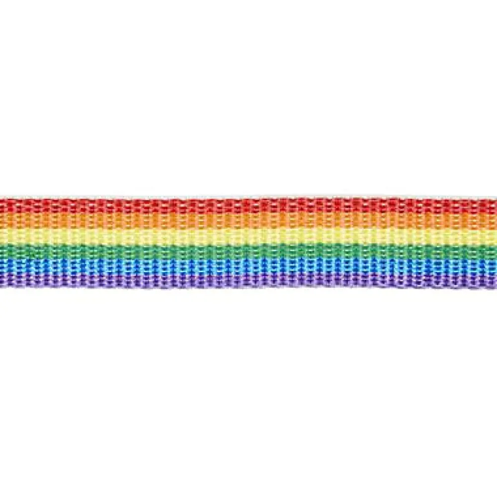 Diall Sangle de volet en polypropylène l. 25 mm, vendue au mètre linéaire