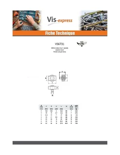 Vis Express Serre cable plat simple Acier zingué Câble De 3 - 1 pièce