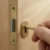 Diall Serrure De Meuble|Serrure De Meuble-Serrure à larder l. 37 mm x H. 35 mm x EP. 8 mm