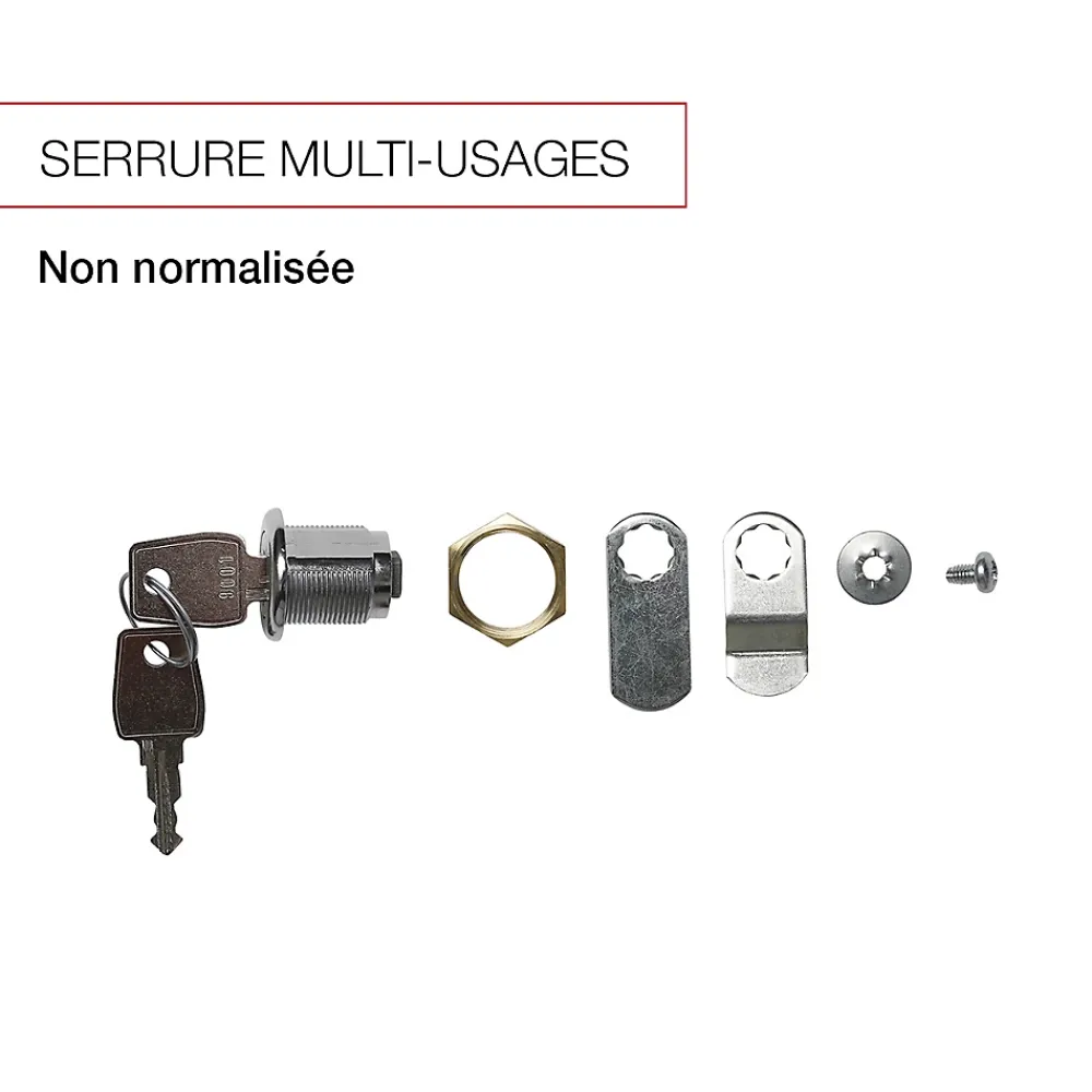 Renz Boîte Aux Lettres 2 Portes-Serrure multi-usages en zamak avec écrou