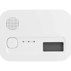 3M France Détecteur De Monoxyde De Carbone Et Gaz-Smartwares FSE-19204 kit sécurité - détecteur de fumée et détecteur de monoxyde de carbone, pile remplaçable, durée de vie 10 ans