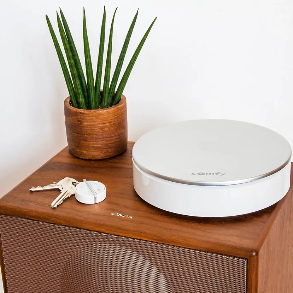 Somfy Alarme Sans Fil-Système d'alarme Home Alarm Max