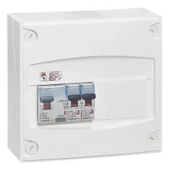 Legrand Tableau Électrique Pré-Équipé-Tableau électrique pré-équipé et pré-câblé 1 rangée - 13 modules (3 inclus)