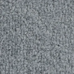 Floordirekt Tapis de Porte Paillasson d'entrée Monochrom Gris argent 40 x 60 cm