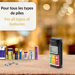 Fishtec Testeur de pile Universel Easy reading