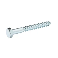 Diall Tirefond-Tirefonds DIN 571 zingués 6x30 mm - 10 pièces