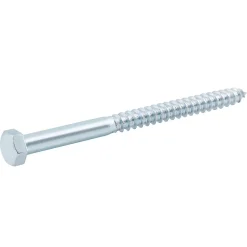 Diall Tirefond-Tirefonds DIN 571 zingués 8x140 mm - 50 pièces