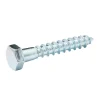 Diall Tirefonds DIN 571 zingués 8x50 mm - 10 pièces
