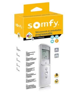 Somfy Télécommande Telis 6 Chronis RTS Pure 2401101