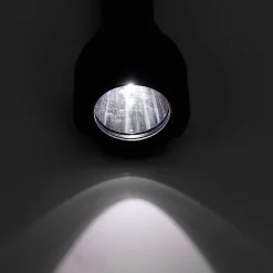 Stanley Torche indestructible 600 lumens