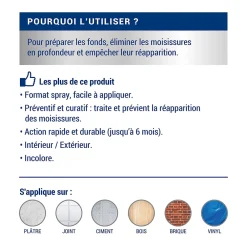 Ripolin Traitement anti-moisissures intérieur extérieur L