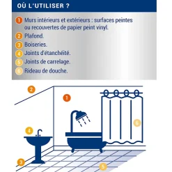 Ripolin Traitement anti-moisissures intérieur extérieur L