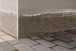 Ripolin Etanchéité Du Mur Intérieur-Traitement murs humides et salpêtre intérieur extérieur incolore 2,5L
