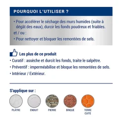 Ripolin Etanchéité Du Mur Intérieur-Traitement murs humides et salpêtre intérieur extérieur incolore 0,75L