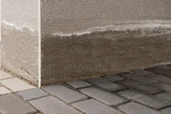 Ripolin Etanchéité Du Mur Intérieur-Traitement murs humides et salpêtre intérieur extérieur incolore 0,75L