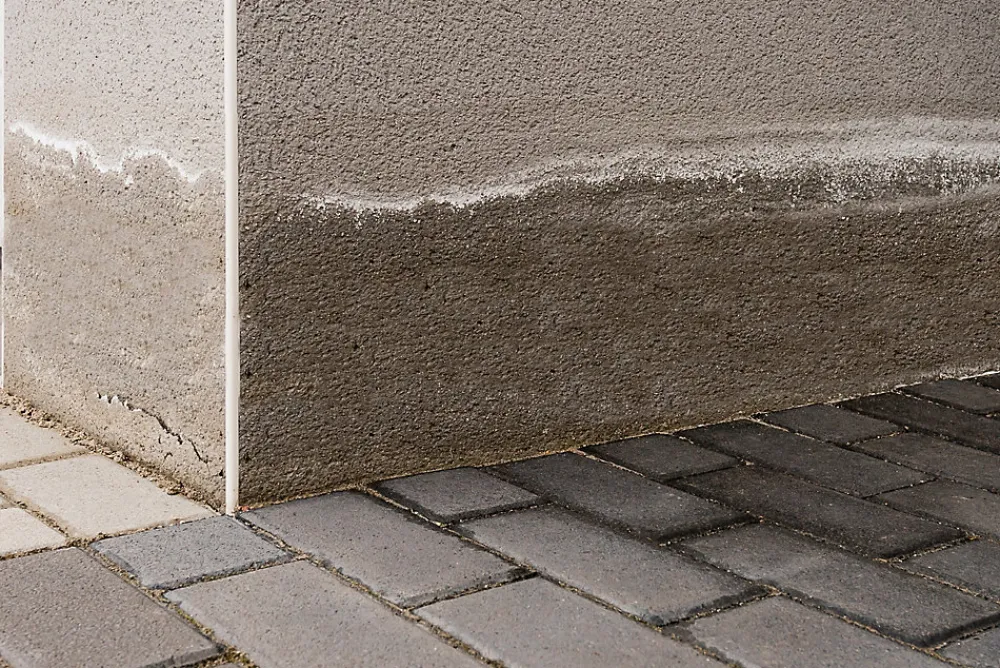Ripolin Etanchéité Du Mur Intérieur-Traitement murs humides et salpêtre intérieur extérieur incolore 0,75L