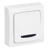 Legrand Interrupteur En Saillie-va-et-vient lumineux ASL blanc