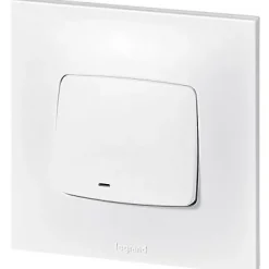 Legrand Va&vient lumineux Neptune 10A