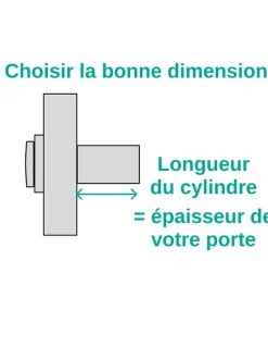 Thirard Verrou De Porte-Verrou double entrée Apache pour porte d'entrée, cylindre 60mm, acier, 3 clés, époxy or -