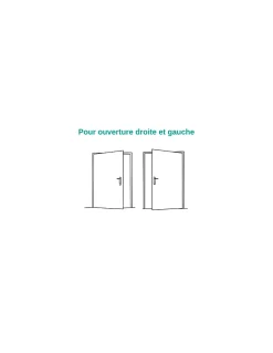 Thirard Verrou De Porte-Verrou double entrée Transit 2 pour porte d'entrée, cylindre 45mm, 4 clés, époxy or -