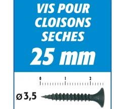 Semin Vis Auto Perceuse 25 mm - Fixation des Plaques de Plâtre sur l'Ossature - Intérieur - Boîte de 1000 Pièces (Lot de 3000)