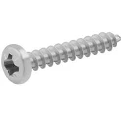 Diall Vis À Bois-Vis à bois cylindrique en acier inoxydable A4 pozidriv 4x25 mm - 20 pièces