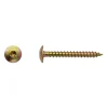 D-Work 200 Vis Bois pour Penture Torx 6 x 50 mm - Zingué Bichro -