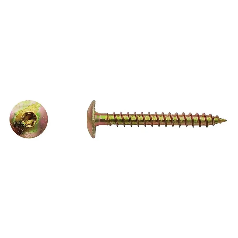 D-Work 100 Vis Bois pour Penture Torx 6 x 60 mm - Zingué Bichro -