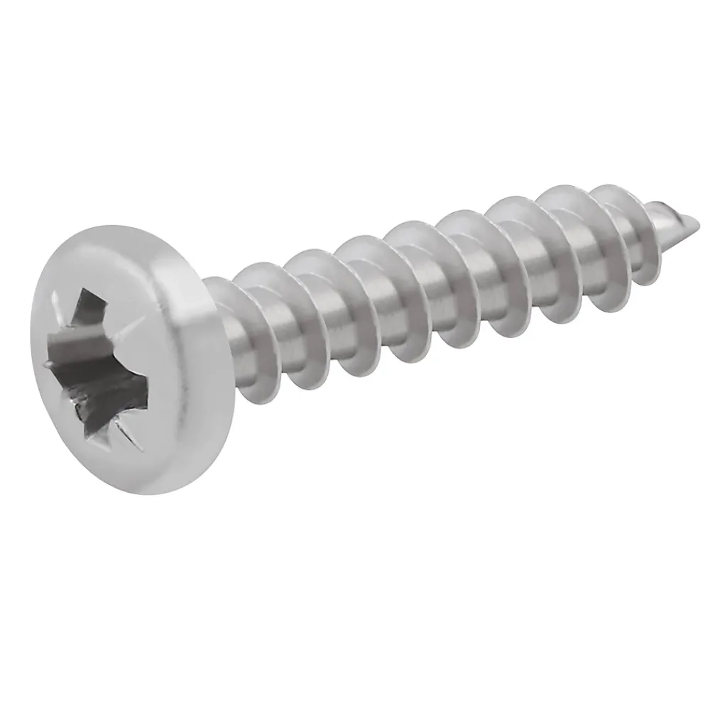 Diall Vis à bois à tête cylindrique en acier inoxydable A4 pozidriv 4X20 mm - 20 pièces