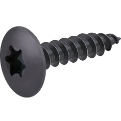 Diall Vis de charnière zinguée noire 6x30 mm - 20 pièces