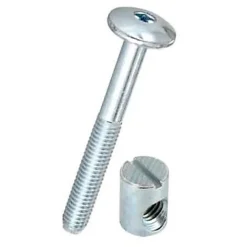 Diall Vis tête bombée + plot en acier zingué, Ø.6 x L. 50 mm vendue par 4 pièces