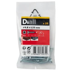 Diall Vis zinguée autoperceuses à tête pozidriv 4,8x25 mm, 25 pièces